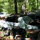 Illustration for article titled Massive Secret Mustang Junkyard Found In Rhode Island Forest